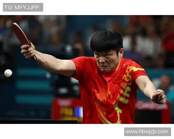 樊振东的乒乓之路从力量的巅峰到智慧的全面蜕变